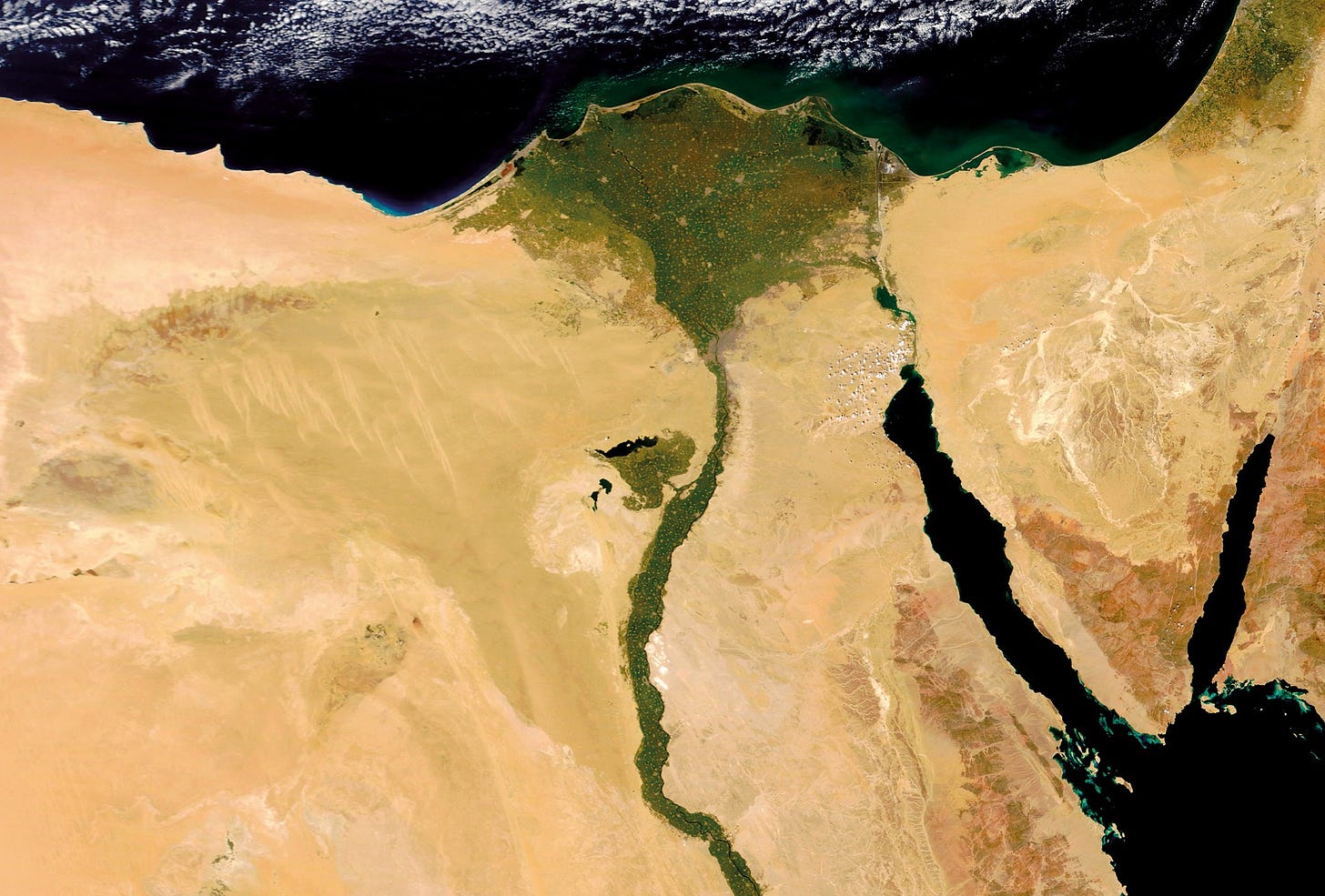 Egypt: Space to grow | Nature