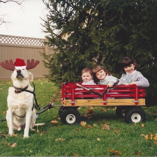 Three little girls posed in a little red wagon about to be pulled by a yellow Lab wearing reindeer antlers