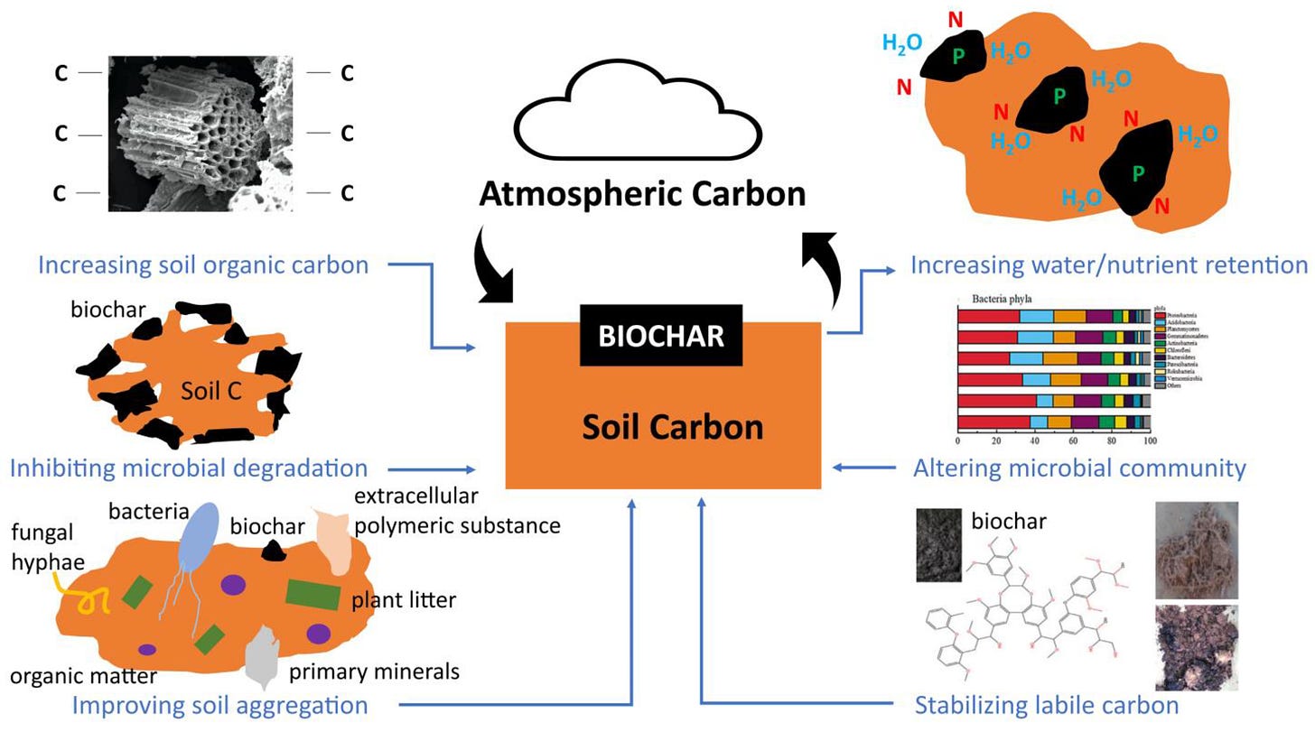 Carbon 09 00067 g006