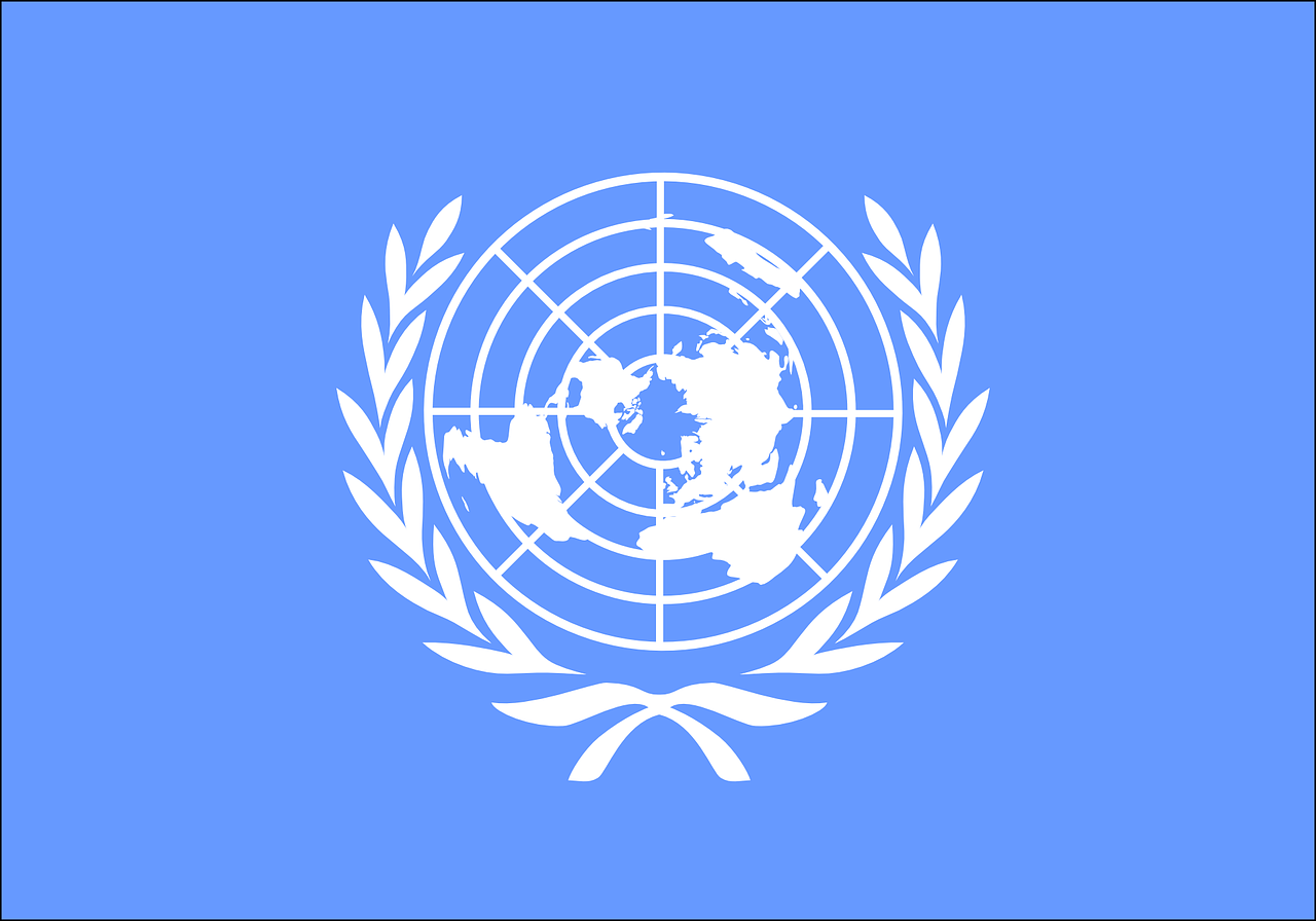 Free united nations international organization vector