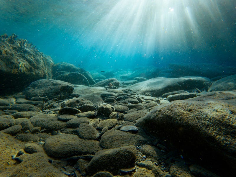 Ocean floor Ocean floor