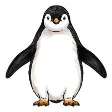 Penguin Front View Drawing