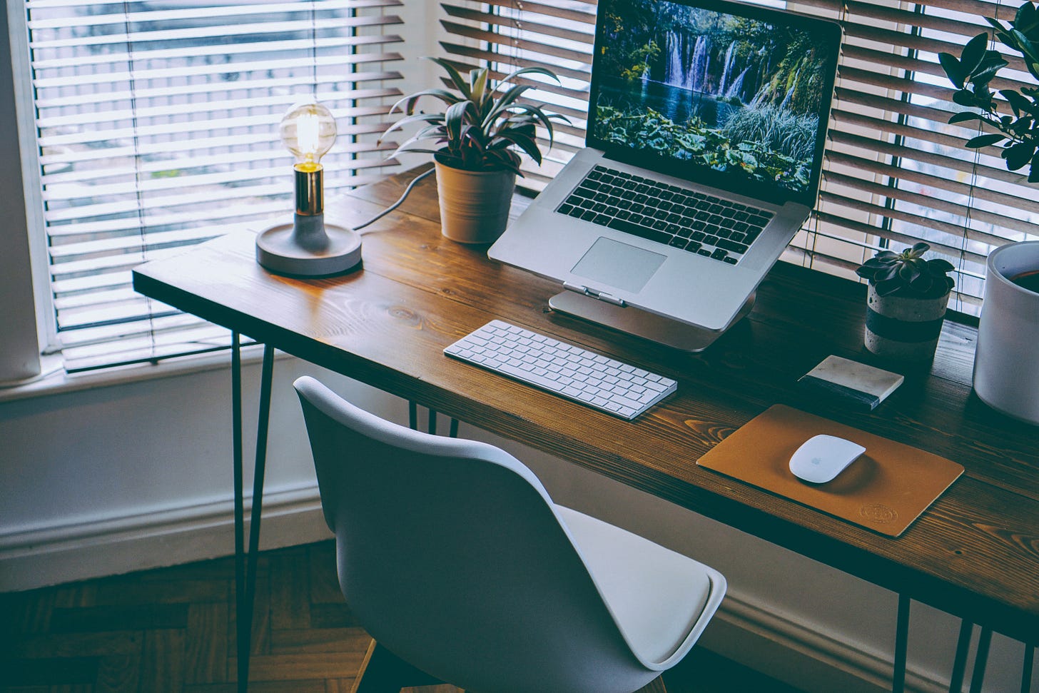 Desk with computer, lamp, and plants