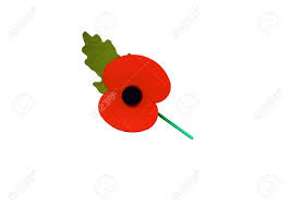 Remembrance Day Poppy Pin Stock Photo, Picture and Royalty Free Image.  Image 39684984.