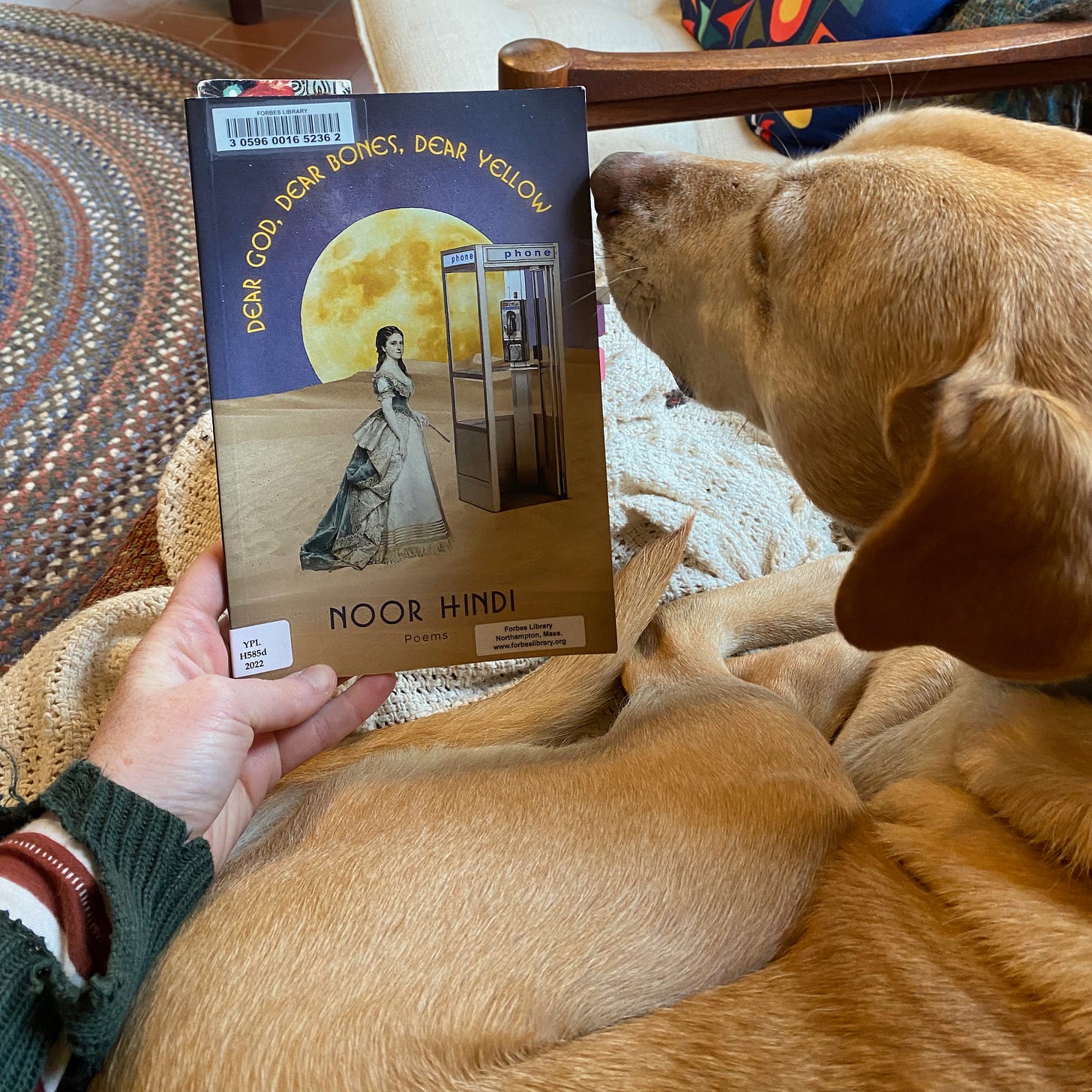 I’m holding this book next to my dog, who is curled up on a couch, her nose sniffing the title.
