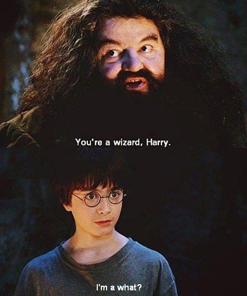 Harry Potter World on Twitter: "Hagrid: “You're a wizard, Harry!” Harry  Potter: “I'm a what?” #17YearsPhilosophersStoneFilm  https://t.co/LcQDzIqVwY" / Twitter