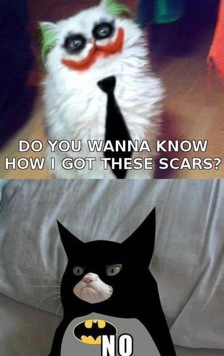 Wanna Know How I Got These Scars? : r/funny