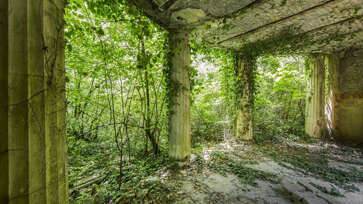 Photos of Mother Nature Conquering Abandoned Buildings