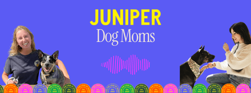 On a purple background, a photo of Haley and blue heeler Scout sits in the left bottom corner while a photo of Allison and heeler mix addie is in the bottom right. Large text reads Juniper Dog Moms in the middle.