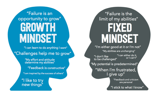 Growth Mindset vs Fixed Mindset – Which one are you? - Intelligent Training  Solutions