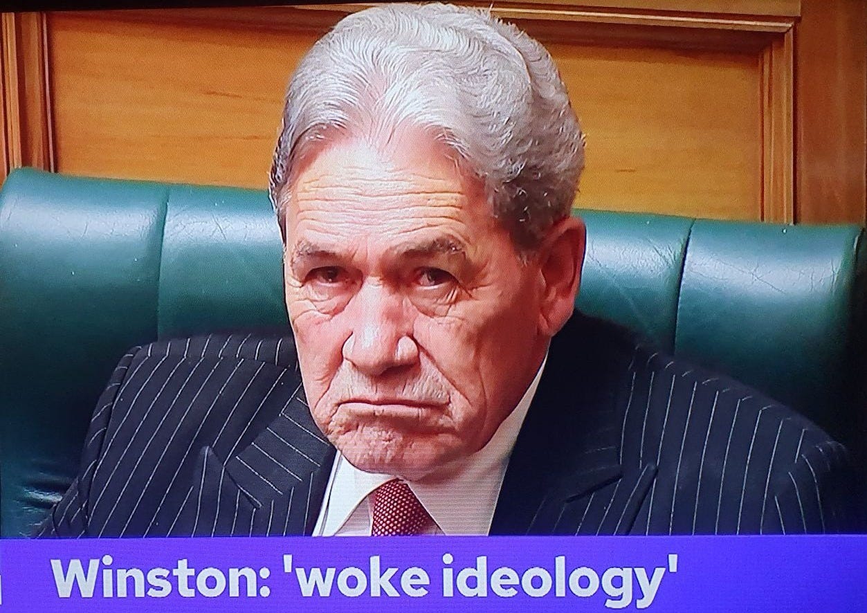 A grumpy looking Winston behind a banner reading, "Winston: 'woke ideology'"