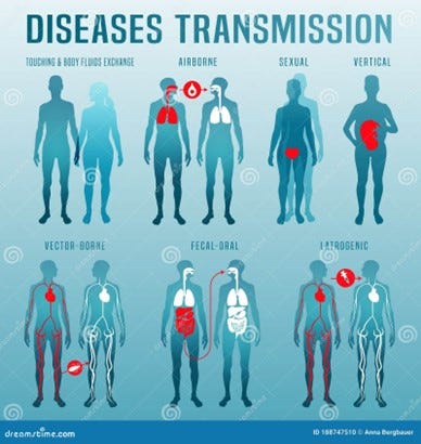 diseases transmission 