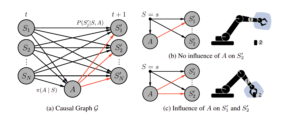 Causal Action Influence Framework. 