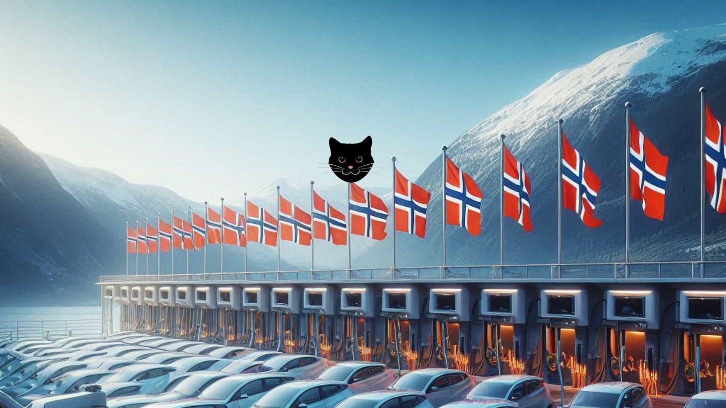 Image of Norwegian parking lot with EVs and a cat face