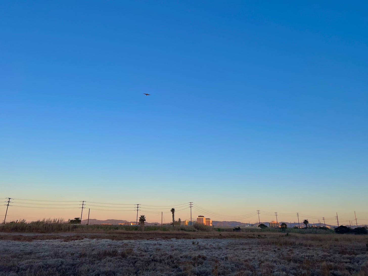 Picture of Angeleno edgeland plain, small office buildings and telephone poles in the near distance, mountains behind, frosty wetland in the foreground, goose flying across a dark blue morning sky