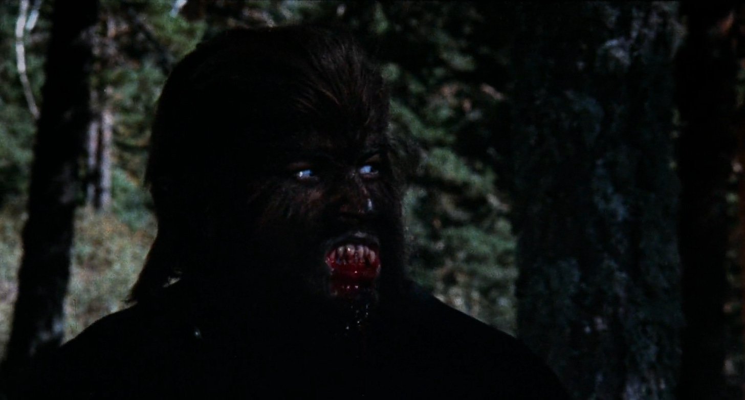 Paul Naschy as El Hombre Lobo, Waldemar Daninsky in The Werewolf Versus The Vampire Woman