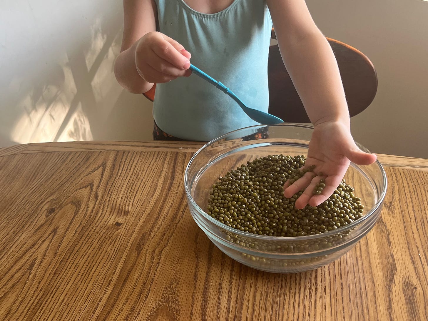 my daughter sorting mung beans