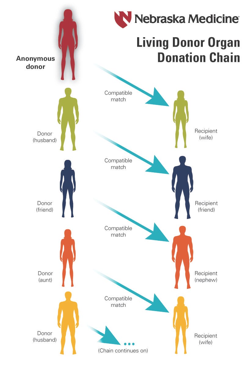 Largest Internal Living-Donor Kidney Transplant Chain at Nebraska Medicine  | Nebraska Medicine Omaha, NE