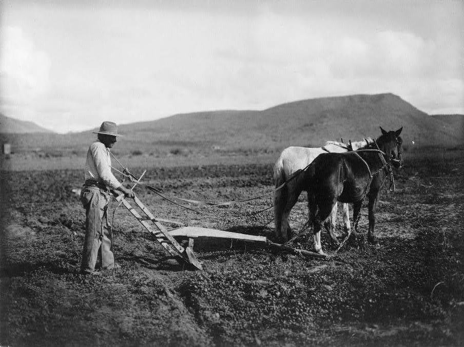 Sacaton Indian Reservation, early 1900s.