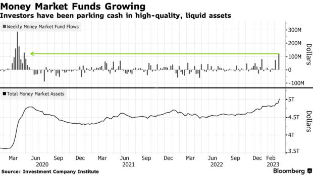 Money Market Funds Growing | Investors have been parking cash in high-quality, liquid assets