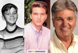 Happy 75th Birthday to Paul Petersen!!... - Do You Remember? | Facebook