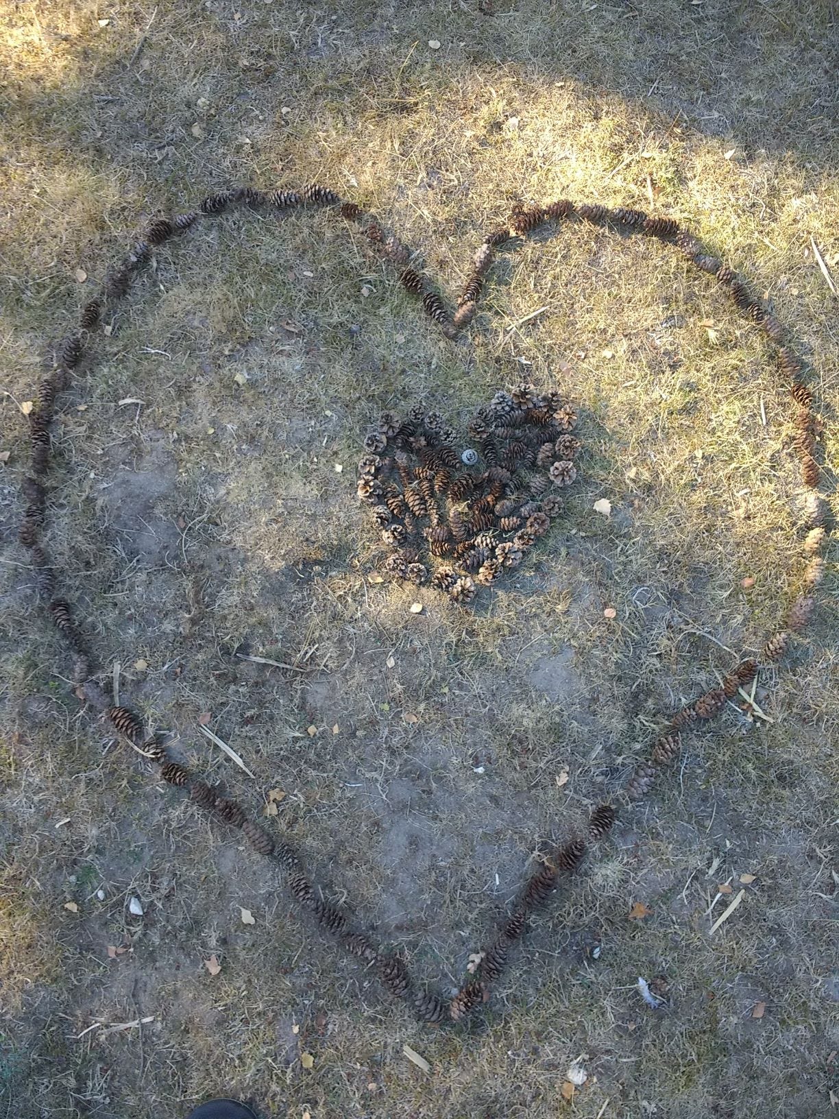 Heart Hand-made with collected pinecones