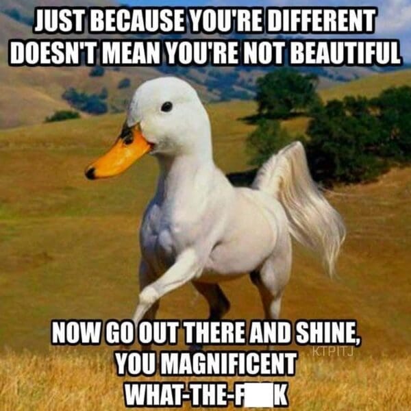 24 Funny Motivational Memes for When You Need a Quick Pick-Me-Up