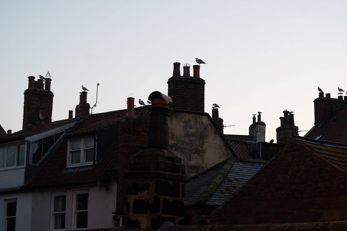 robin hoods bay rooftops