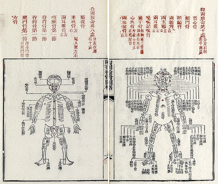 File:Xiyuanlu jizheng-1843-Bones.jpg