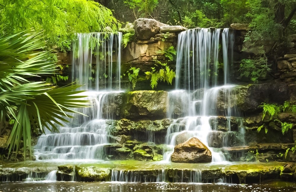 Must Visit: The Austin Botanical Garden (Zilker Botanical Garden)
