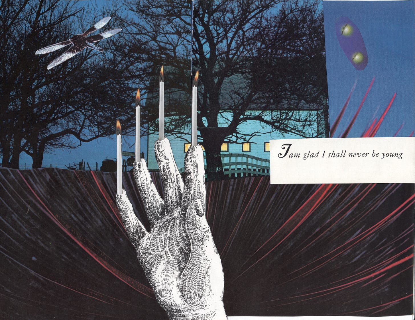 a collage with night scenes, a dragonfly and fire flies, a black-and-white hand with candles emerging from fingertips