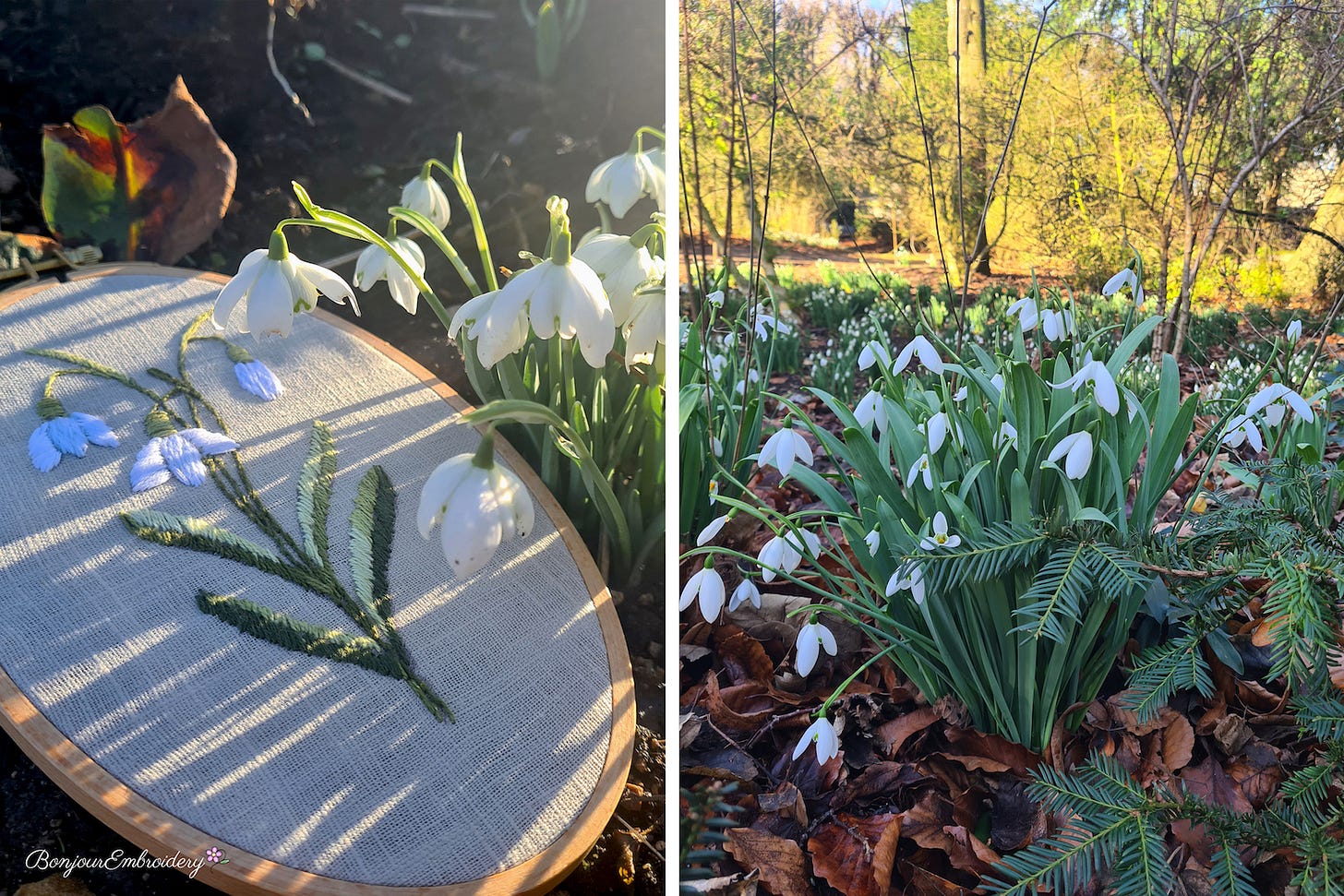 snowdrop embroidery