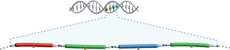 Roche | Inventing SBX, a DNA sequencing breakthrough Roche | Inventing SBX, a DNA sequencing breakthrough