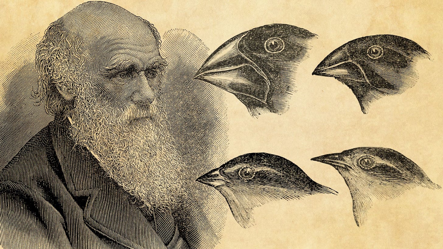 Galapagos finches and their beaks and Charles Darwin's theory of evolution  | Britannica