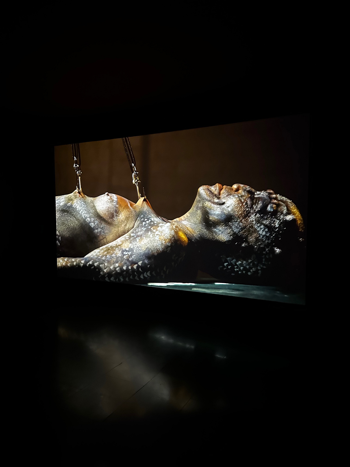 Carlos Motta’s Pleas of Resistance at MACBA in Barcelona