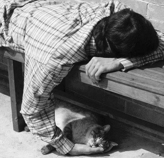 This may contain: a black and white photo of a person sleeping on a bench with a cat