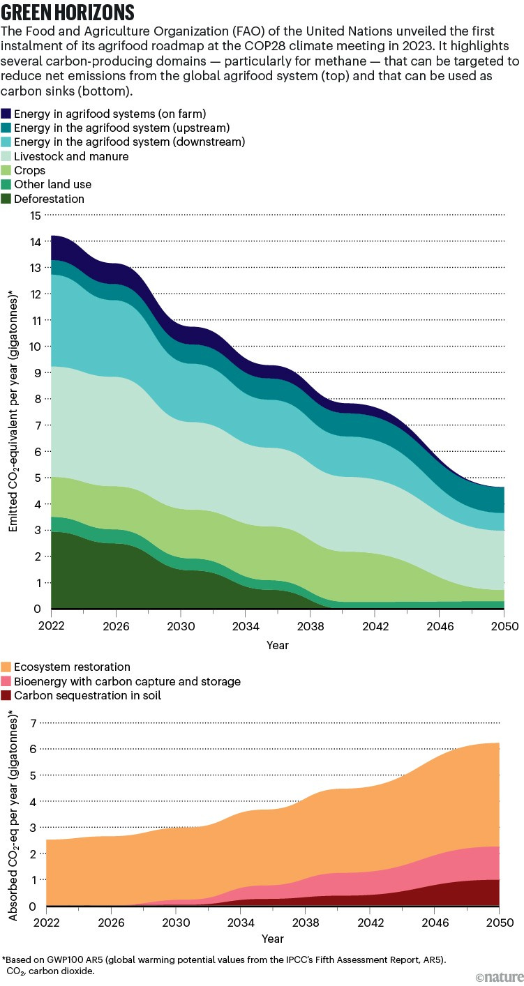 Green horizons: Two charts highlight carbon-producing domains that can be targeted to reduce net emissions from the global agrifood system and that can be used as carbon sinks