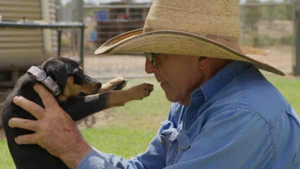 Muster Dogs: the new Australian reality show set to charm the world |  Television | The Guardian