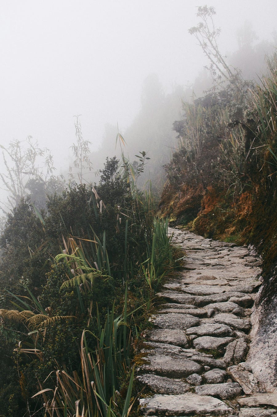 ancient pathway on a mountain.