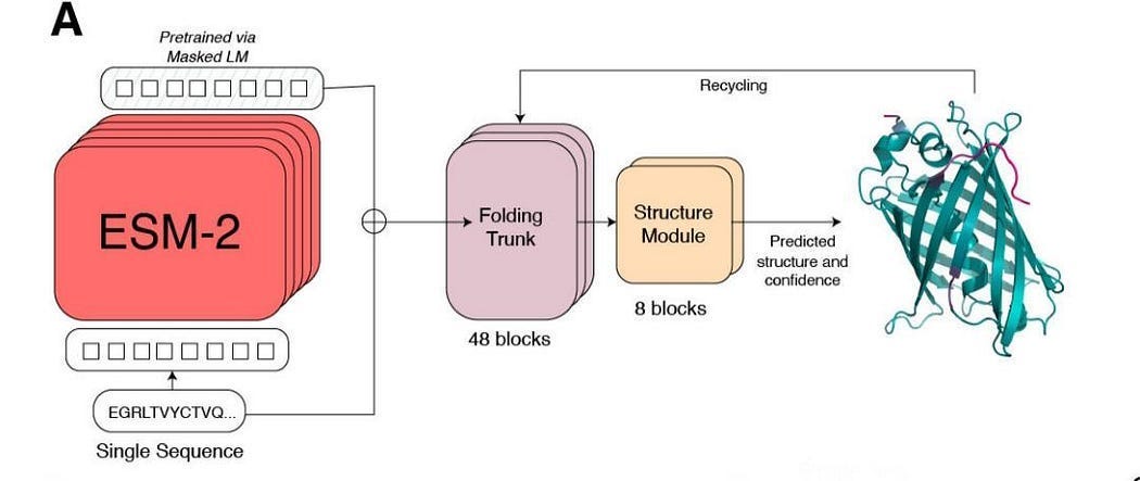 Protein Structure Prediction : A Primer (Part 5) | by Siddhant Rai | Medium