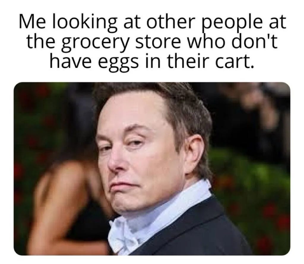 The Funniest Expensive Egg Memes in 2023 - Lola Lambchops