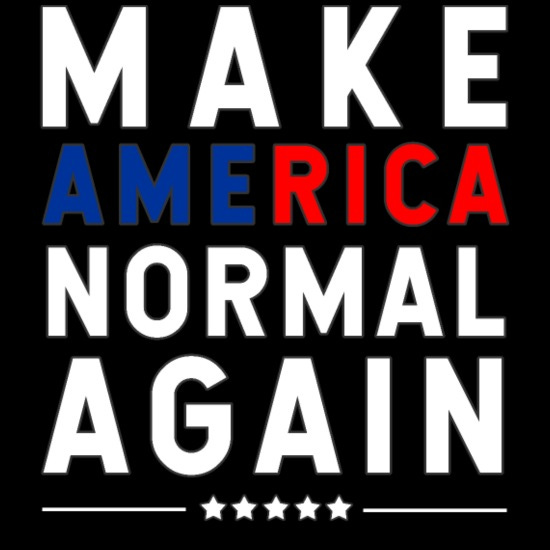 MAKE AMERICA NORMAL AGAIN - US ELECTION 2020' Men's T-Shirt | Spreadshirt