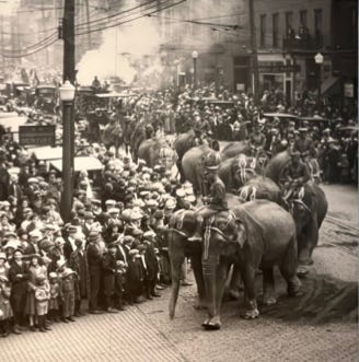 An historical photo of the circus coming to town, with elephants leading the way.