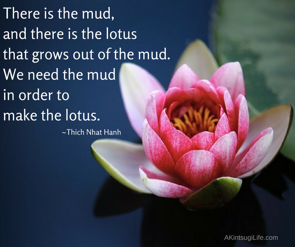 The lotus and the mud | Lotus flower meaning, Thich nhat ...