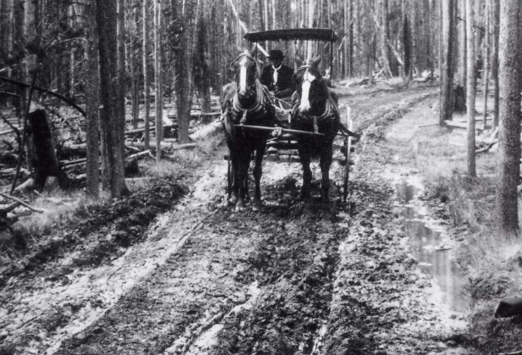 Horse and buggy on dirt road; Photographer unknown; No date ...