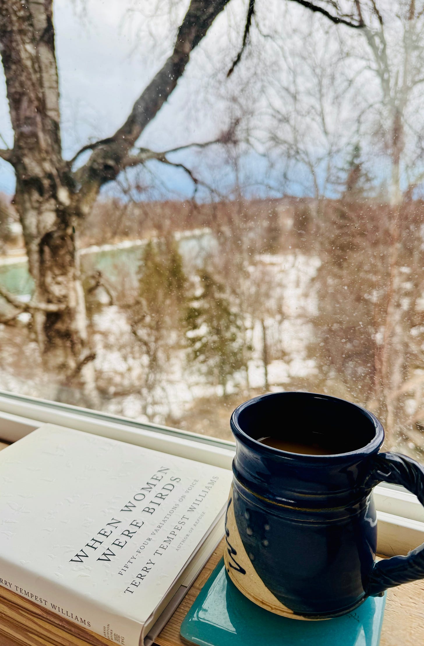 book and mug in a window