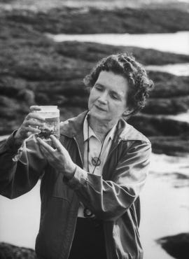 Rachel Carson’s Silent Spring, the “iconic piece of literature” that ...