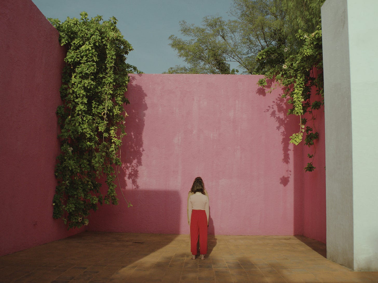 Two figures standing in front of the pink wall at Casa Luis Barragan.