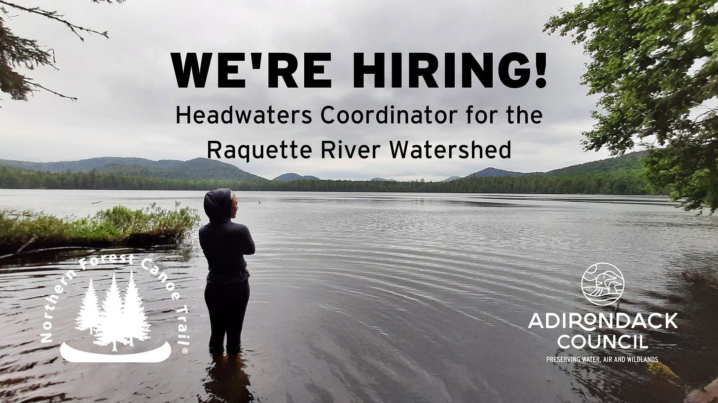 A woman stands in an Adirondack lake and text says we're hiring headwaters coordinator for the Raquette River Watershed