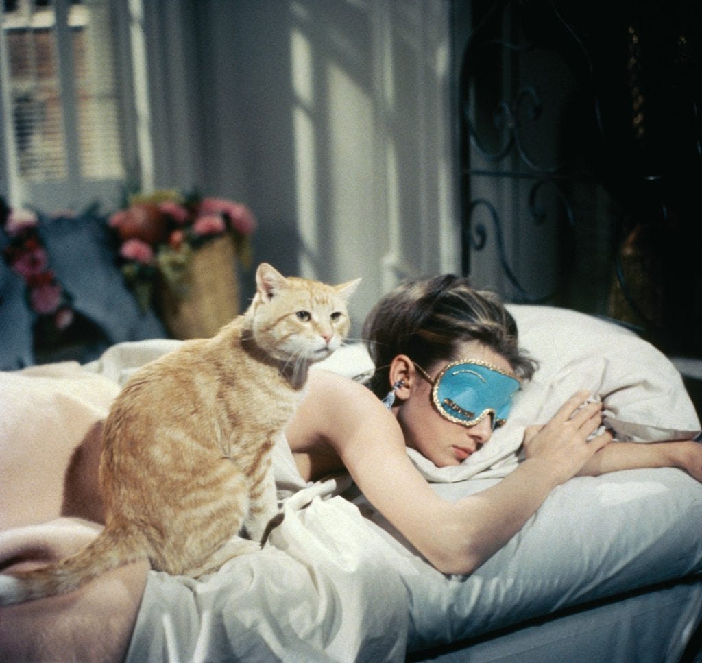 Holly, asleep in bed wearing an eye mask, with Cat sitting next to her